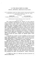 giornale/CFI0343591/1916/unico/00000333