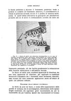 giornale/CFI0343591/1916/unico/00000385