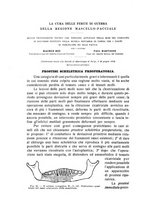 giornale/CFI0343591/1916/unico/00000434