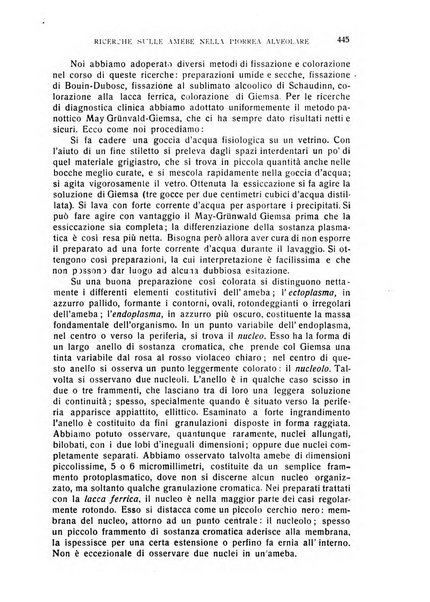 Annali di odontologia periodico mensile