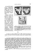 giornale/CFI0343591/1916/unico/00000551