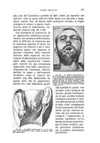 giornale/CFI0343591/1916/unico/00000555