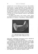 giornale/CFI0343591/1918/unico/00000018