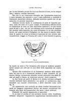 giornale/CFI0343591/1918/unico/00000195
