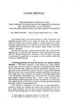 giornale/CFI0343591/1918/unico/00000331