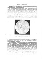 giornale/CFI0343591/1919/unico/00000014