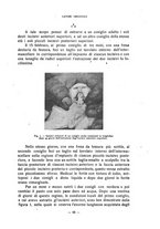 giornale/CFI0343591/1919/unico/00000083