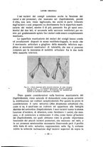 giornale/CFI0343591/1919/unico/00000087