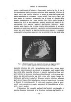 giornale/CFI0343591/1919/unico/00000088