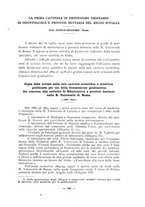 giornale/CFI0343591/1919/unico/00000177