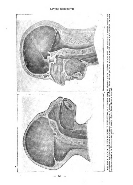 Annali di odontologia periodico mensile