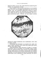 giornale/CFI0343591/1922/unico/00000252