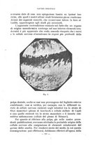 giornale/CFI0343591/1922/unico/00000253