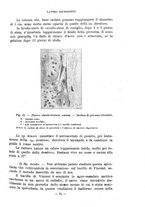 giornale/CFI0343591/1923/unico/00000093
