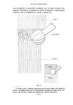 giornale/CFI0343591/1924/unico/00000058