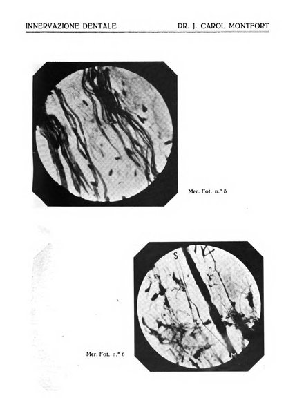 Annali di odontologia periodico mensile