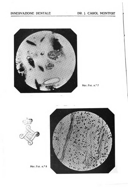 Annali di odontologia periodico mensile