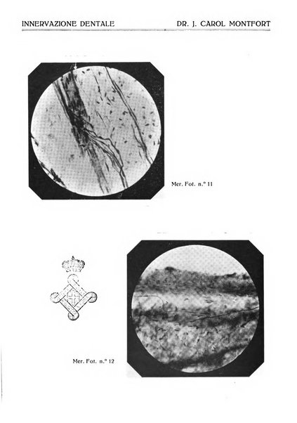 Annali di odontologia periodico mensile