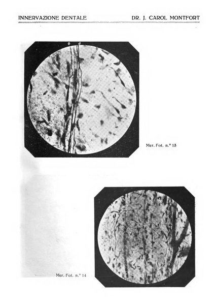 Annali di odontologia periodico mensile