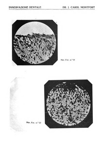 Annali di odontologia periodico mensile