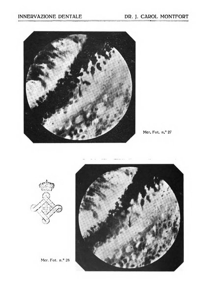 Annali di odontologia periodico mensile