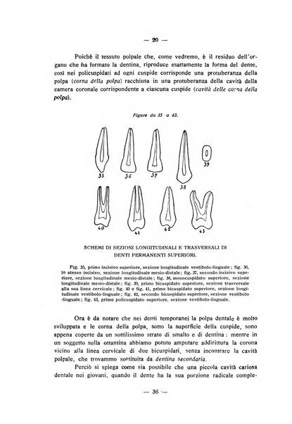 Annali di odontologia periodico mensile