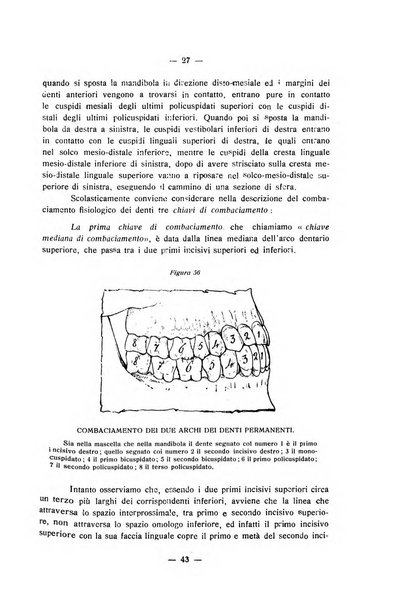 Annali di odontologia periodico mensile