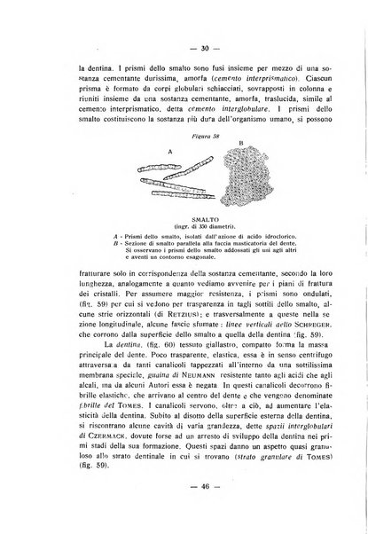 Annali di odontologia periodico mensile