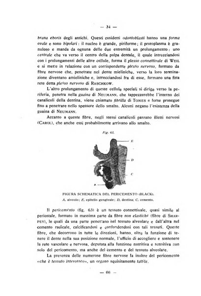 Annali di odontologia periodico mensile