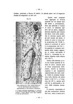 giornale/CFI0343591/1931/unico/00000082