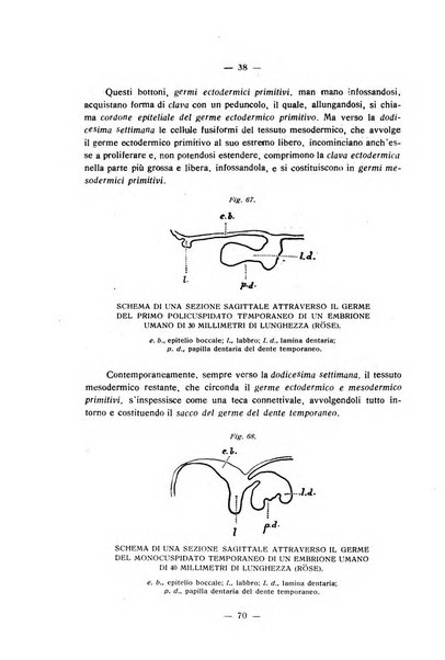 Annali di odontologia periodico mensile