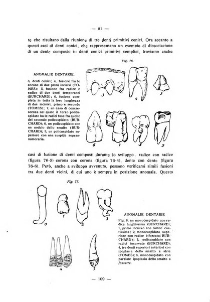 Annali di odontologia periodico mensile