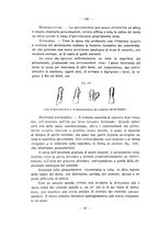 giornale/CFI0343591/1933/unico/00000024