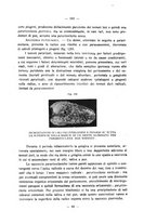 giornale/CFI0343591/1933/unico/00000079