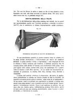 giornale/CFI0343591/1933/unico/00000096