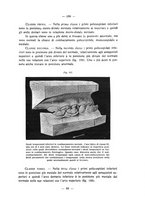 giornale/CFI0343591/1933/unico/00000197