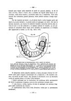 giornale/CFI0343591/1933/unico/00000201