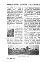 giornale/CFI0344345/1926/unico/00000252