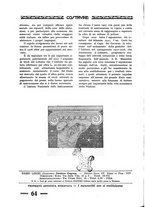 giornale/CFI0344345/1928/unico/00000542