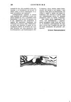 giornale/CFI0344345/1935/unico/00000254
