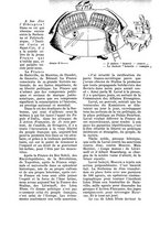 giornale/CFI0344345/1936/unico/00000387