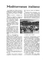 giornale/CFI0344345/1936/unico/00000472