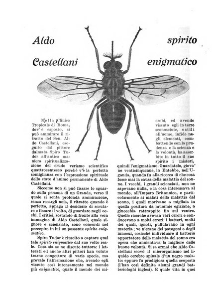 Costruire rivista mensile fascista