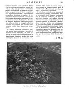 giornale/CFI0344345/1937/unico/00000201