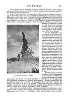 giornale/CFI0344345/1937/unico/00000337