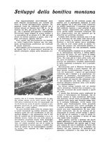 giornale/CFI0344345/1941/unico/00000488