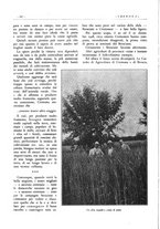 giornale/CFI0344389/1929/unico/00000068