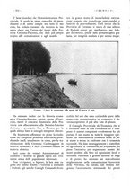 giornale/CFI0344389/1929/unico/00000374