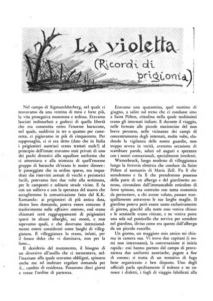 Cremona rivista mensile illustrata della Citta e Provincia