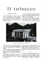 giornale/CFI0344389/1929/unico/00000651